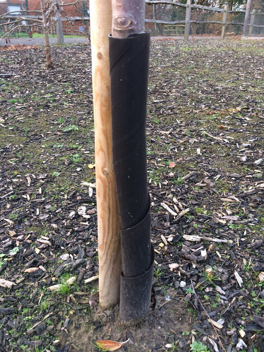 Tree Guards